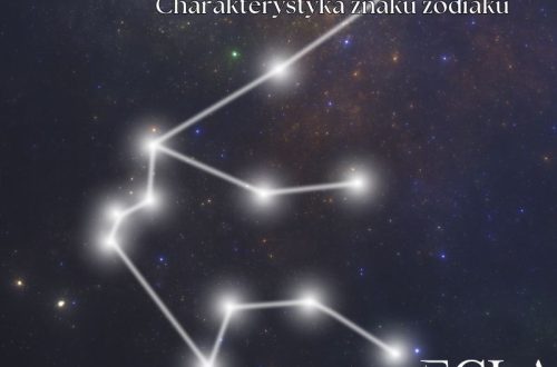 Wodnik - charakterystyka znaku zodiaku